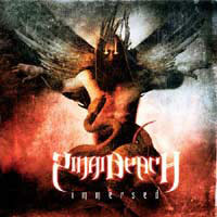 Sinai Beach - Immersed