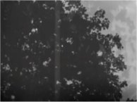 Ruins Of The Past - Album trailer - Vidéo